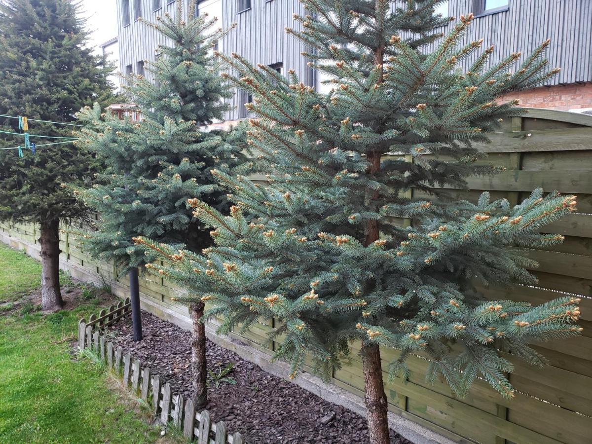 Apartament Aga13 Mikołajki Exteriér fotografie